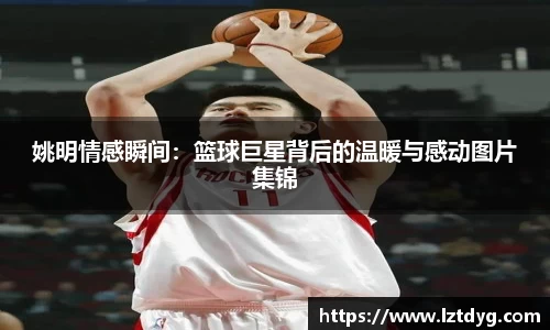 中欧体育官网