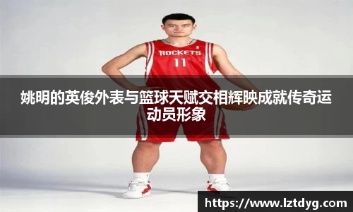 中欧体育