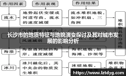 中欧体育网址