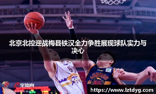 zoty中欧北京北控迎战梅县铁汉全力争胜展现球队实力与决心